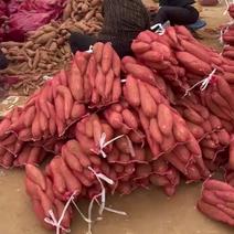 济薯26沙土地种植地大量现货出售中支持各种包装价格1元2