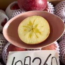 实拍验果昭通丑苹果丑苹果完全自然生长，不套袋、不用