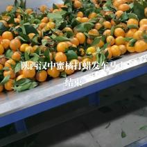 陕西汉中洋县砂糖橘