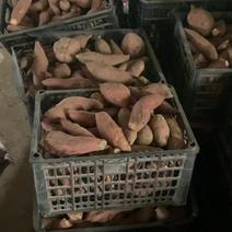 烟薯次货三级货市场货加工厂红薯摆摊货网袋