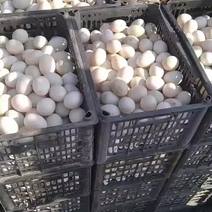 鲜鸭蛋，精品鸭蛋裂纹蛋，批发旅游，微商社区团购供应礼品
