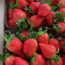 甜宝草莓，香野草莓🍓