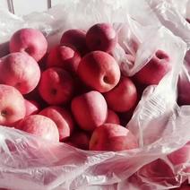 红富士苹果大量出库。长年，代办个种水果。有意者请我