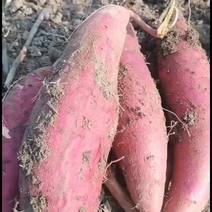 西瓜红红薯，产地直供，现挖现卖，口感清甜