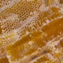 蜂巢蜜，大山里的，一手货源，品质保证，货源充足！！！
