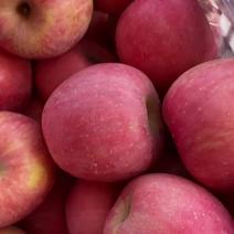 河北昌黎红富士苹果，70mm以上原产地大富士苹果半斤以上