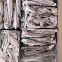鱿鱼须，阿根廷二本足，做工精细，可加水，可纯料。常年有货