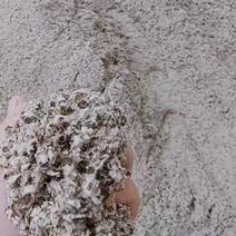 新疆棉壳批发，中壳中绒含油粉。