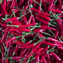 各种品种红辣椒，产地直发价格，大量有货，欢迎采购。