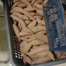 湖南省新邵县九味食品有限司出售烟薯25。烤薯必备。批零。