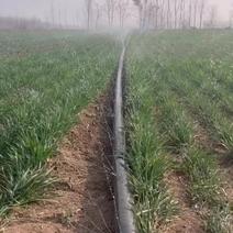 农用微喷带、喷水带，适合小麦、蔬菜灌溉