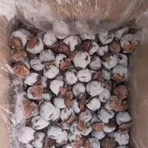 白霜老树柿饼，圆柿饼1万斤，高山蜜柿的箱子，100件现货