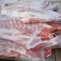 哈尔滨市鲜猪排骨批发品质优价格低