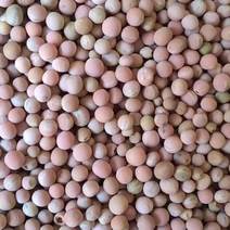 红豌豆，干净无杂无虫蛀，出粉率高，四川青川特产，产地直销