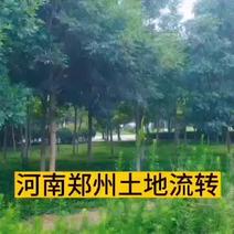 河南郑州土地流转：中牟县建设用地28亩出租或转让