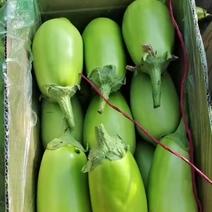 辽宁产地绿茄常年供应质量保障规格齐全无籽按需包装