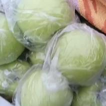 江苏丰县大沙河早熟华硕苹果大量上市。