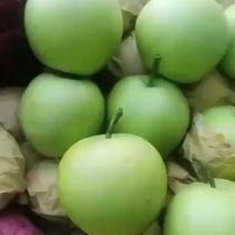 绿宝石梨🍐大量上市，半斤以上的，适合批发商超零售电商