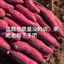 【热卖中】辽宁凌海红薯早风红皮白心红薯大量现货