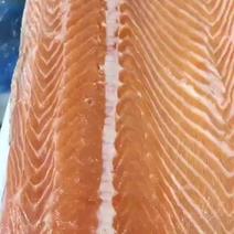 2023年冰鲜挪威三文鱼整条120一公斤，大连现货，