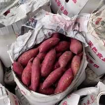 沙地西瓜红红薯，产地直发，没得底面货，精品货
