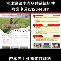 河北宏武农业科技有限公司冬小麦销售
