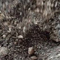 茶树菇菌渣，有机肥原料