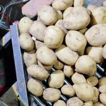 黄心土豆原包货表皮光滑价格便宜