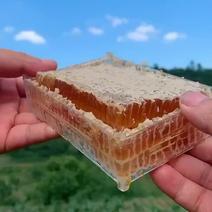 蜂巢蜜蜂蜜产地发货蜂厂价格出