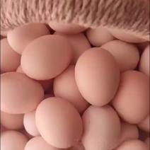 农家散养土鸡蛋