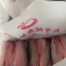 鲮鱼肉，台湾泥鳅