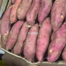 白心商薯19手挑货大量现货，价格不高欢迎全国客商