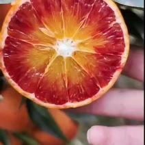 【精品推荐】血橙，量大从优，产地一手货源，对接全国各地！