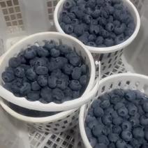 云南蓝莓，电商，市场