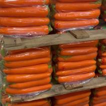 河南通许精品三红胡萝卜中条大条商超供货各种规格