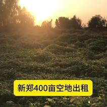 河南郑州土地流转：新郑400亩空地出租