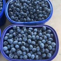 云南精品蓝莓产地直发品种齐全价格实惠欢迎大家咨询实力代办