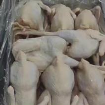 579小公鸡烧鸡炒鸡风干鸡10只至13只冰鲜冻品全国发货