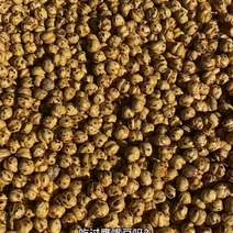 土耳其鹰嘴豆新疆特产炒制即食整件批发一件代发大颗粒20斤
