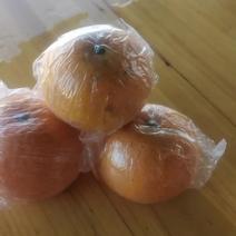 常山胡柚