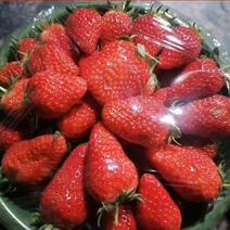 户县草莓产业园