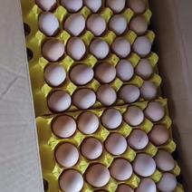 鲜鸡蛋