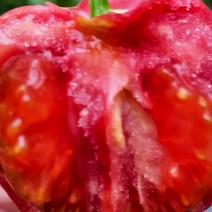 吐鲁番草莓番茄