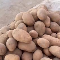 新鲜土豆，田园好味，直供农场，品质保证