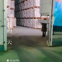 邳州精品白蒜6.0-6.5共有100吨，价格面议