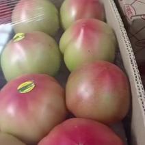 辽宁西红柿一手货源基地直发保质保量对接各地批发商