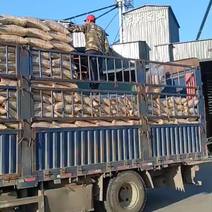 讷河产区出售高低蛋白黄豆