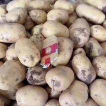 湖北黄皮黄心新土豆，大量上市中支持各种包装