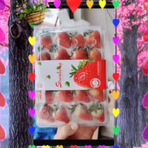草夏季草莓