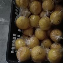 黄金贡柚